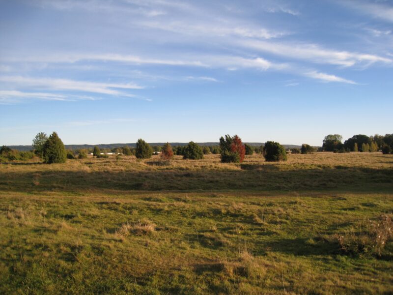 Axevalla Heath