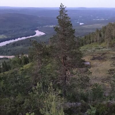 Guidad vandring på Branäsberget