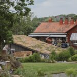 Beer & BBQ  med Livemusik på Kläpphagen