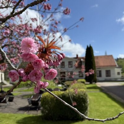 Billströmska folkhögskolan 150 år!
