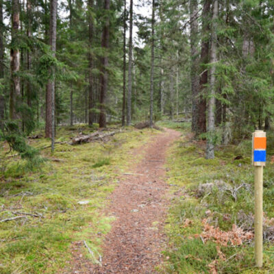 Björkehovs IS