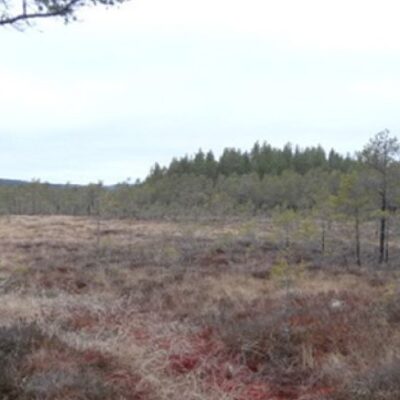 Nordmarksmyrarnas naturreservat