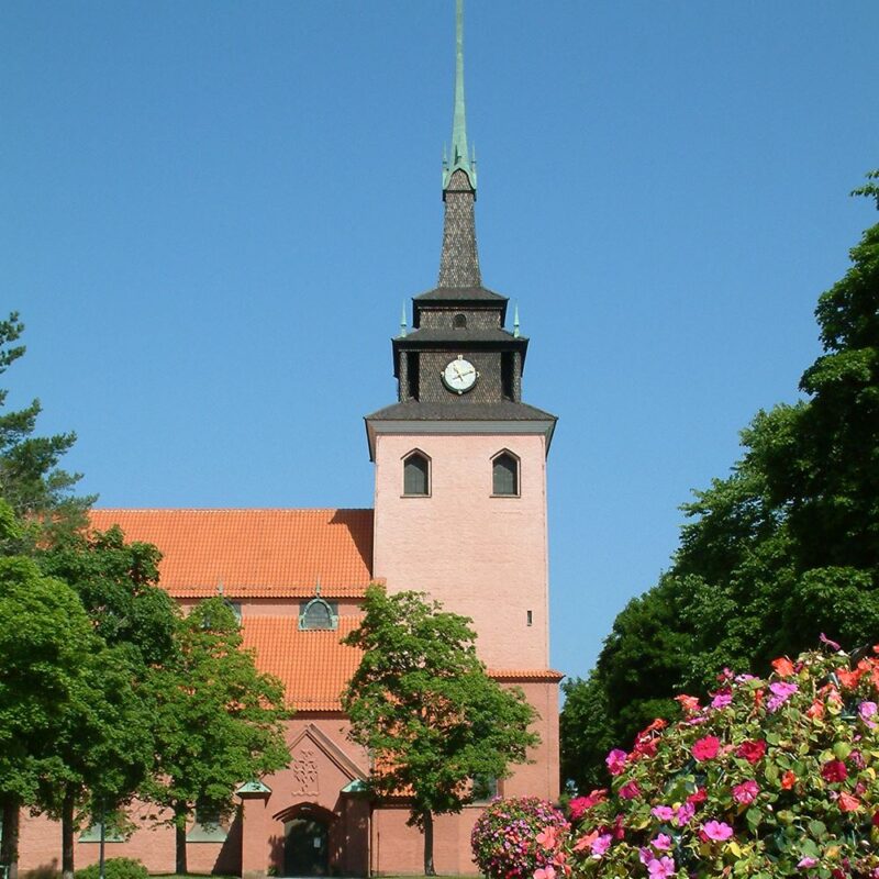 Blåa-bär Sommarkonsert