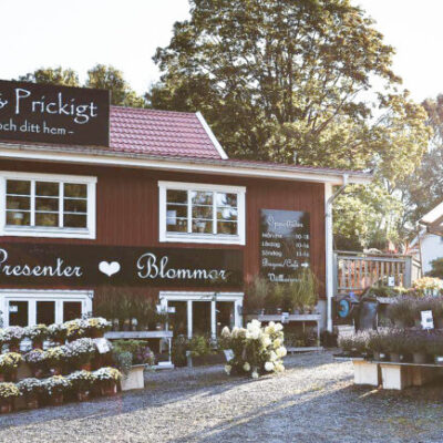 Blommigt och prickigt