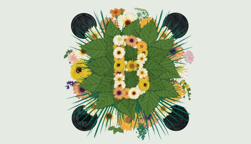Blomsterprogrammet 2026