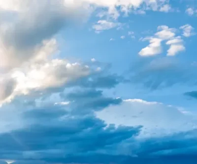 Bohusläns Kammarmusikfestival, Öckerökonserten