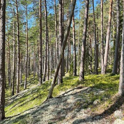 Bollåsens Naturreservat