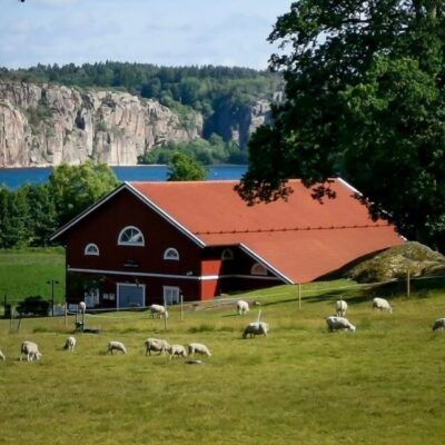 Butiken på landet