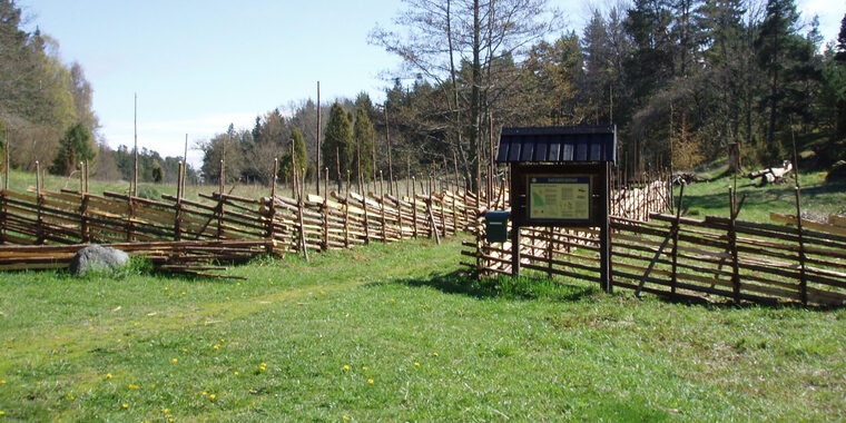 Bygdevandring Sunda Gård och Linkuddens naturskyddsområde