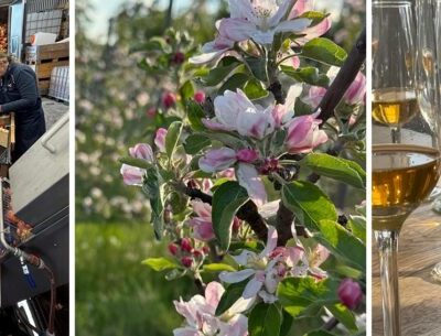 Ciderbruket – visning, provsmakning och gårdsförsäljning