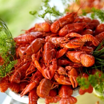 Crayfish Fishing Package at VinContoret