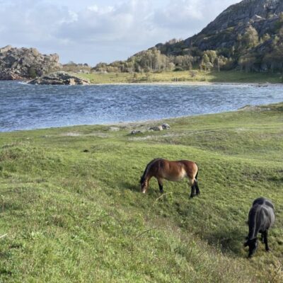 Cykla till blåsipporna på Björshuvudet