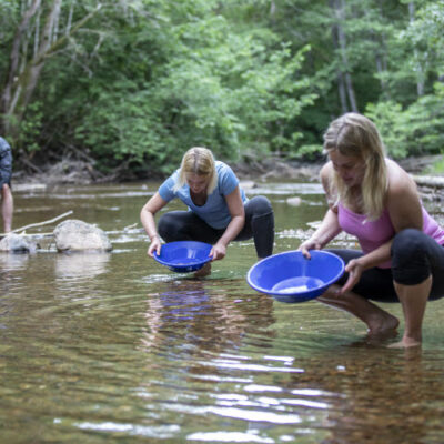 Dalslands Aktiviteter