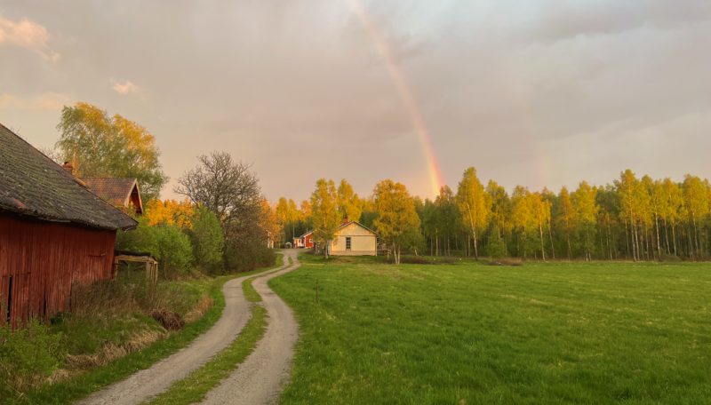 Dammhagen Farm