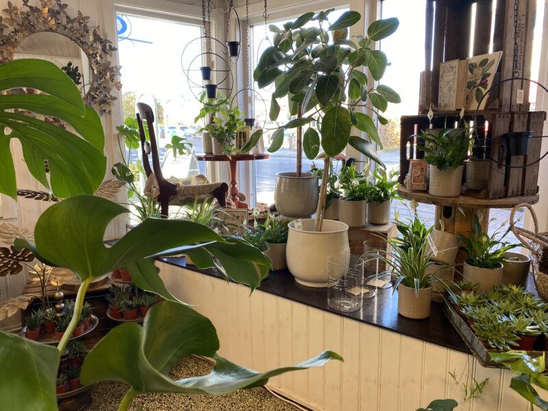 Dekåra Blomsterdesign i Nossebro