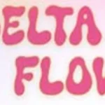 Delta FLOW maj