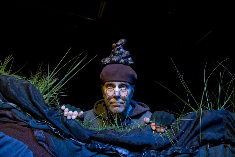 Den lille mullvaden som ville veta vem som bajsat på hans huvud med Skottes Musikteater