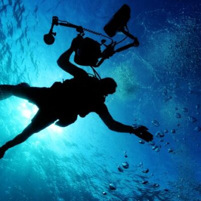 Dive Team