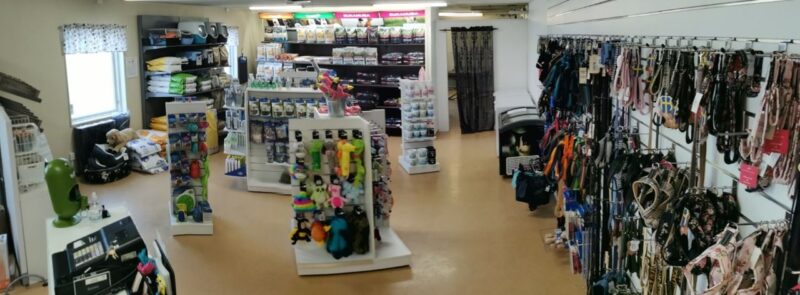 Djurkollo – Hunddagis, Djurpensionat och Butik