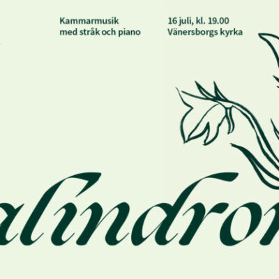 Evolution Music Festival 2026: Palindrom