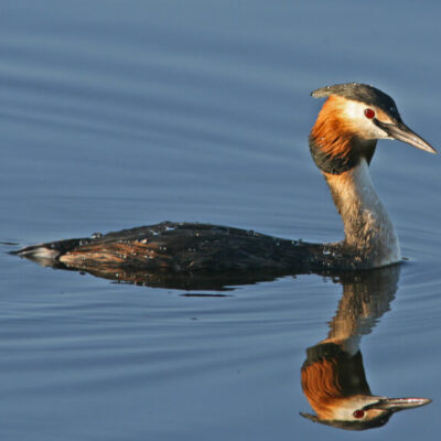 Exkursion till Ytterberg