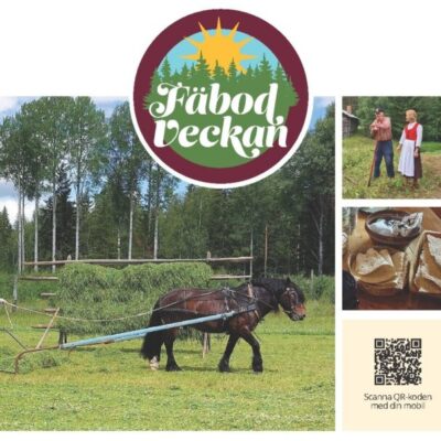 Fäbodveckan 28 juni – 5 juli 2026