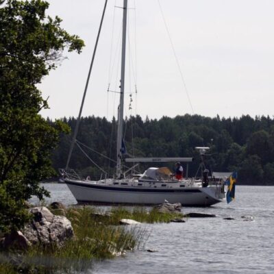 Fågelhararna