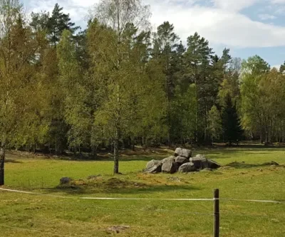 Fågelmorgon vid Orraholmen