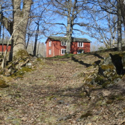 Fågelsångsmorgon i Skärbos ängar och hagar