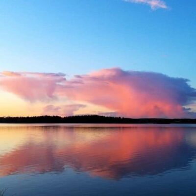Falkudden Camping, Cafe och Stugby
