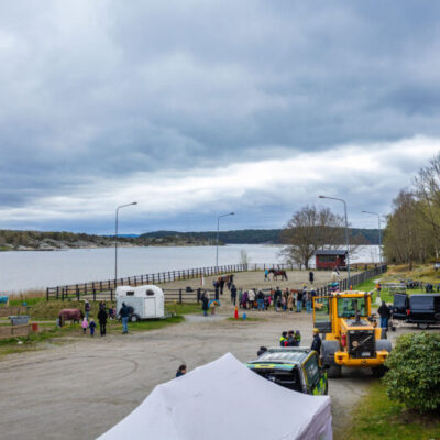 Familjedag på Tjörns Ridklubb