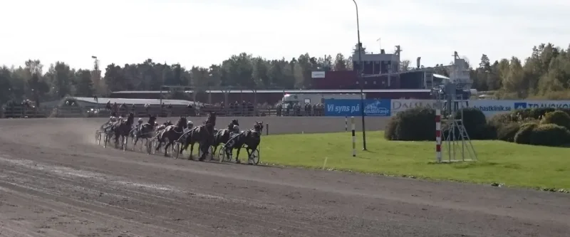 Familjedag på travet