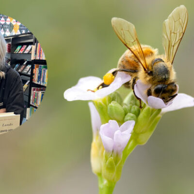 Familjelördag: Odla! Med Anna Brandeby Harström