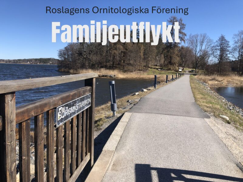 Familjeutflykt