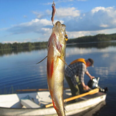 Fishing in the Skara area