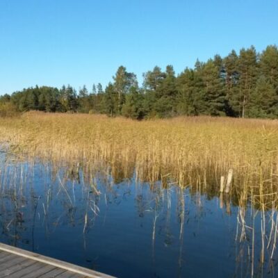 Fishing on Hunneberg