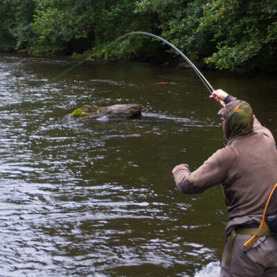 Fishing trout in the river Ätran