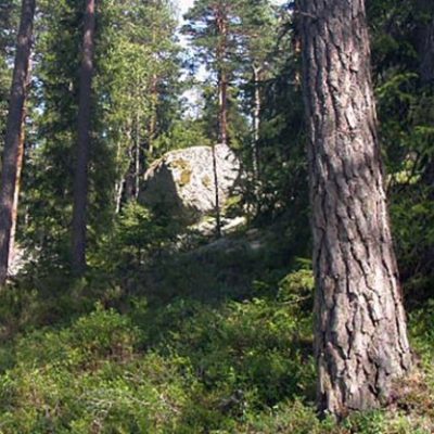 Fjärhanabergen