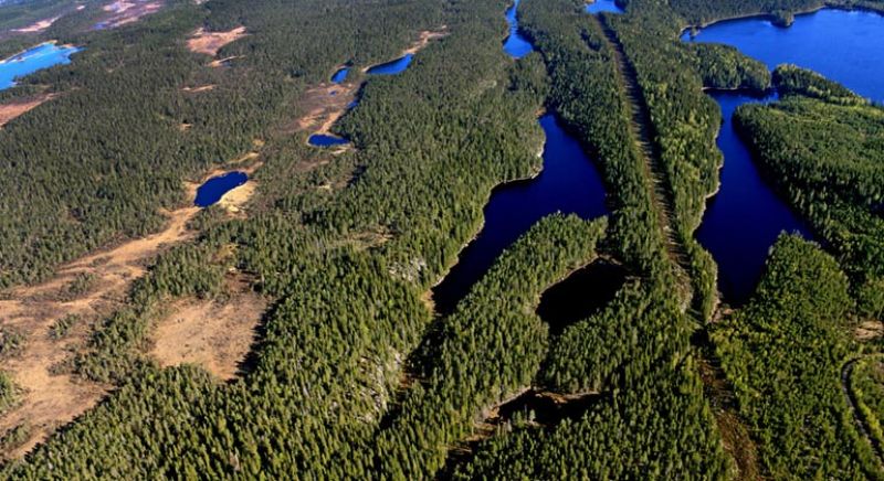 Naturreservat - Murstensdalen