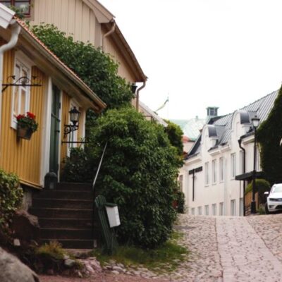 Fnyket & Besväret