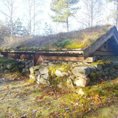 Fogels jordkula