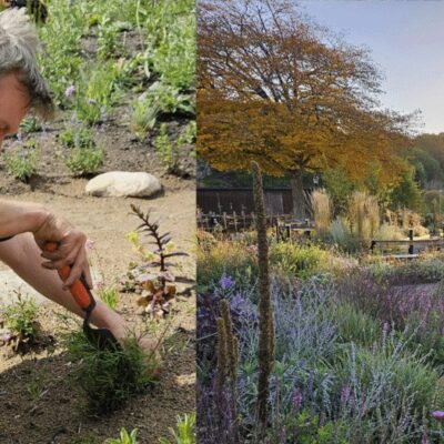 Föredrag: Ett år i Nolhagas nya inspirationsträdgård