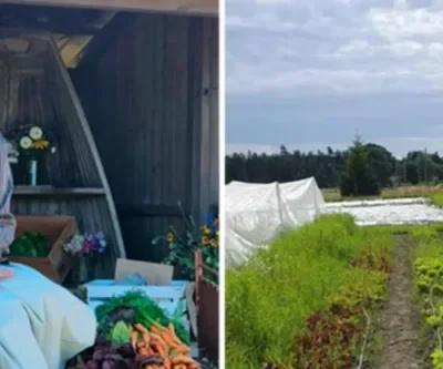 Föreläsning av Hannah Stening från Djupedals trädgårdar.