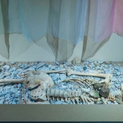 Föreläsning: Life and Death in Viking Age Kopparsvik