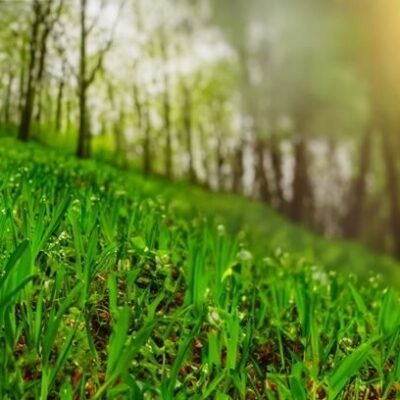 Förvårkonsert med Bengt Andersson med flera