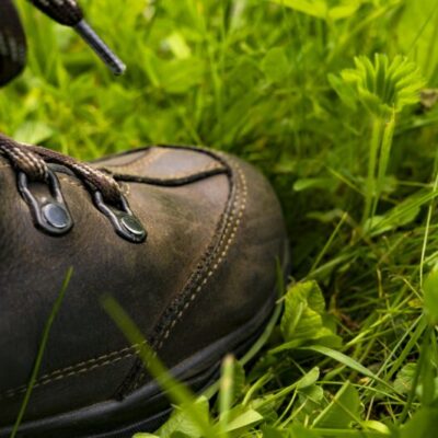 Fristorps Gransjö Hike