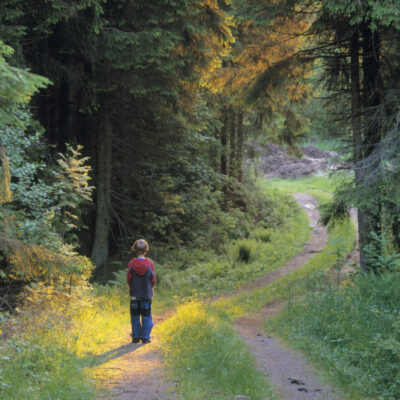 Galtåsen trail