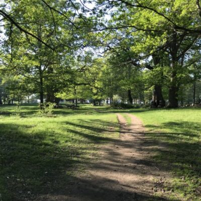 Gamla Ekudden nature reserve