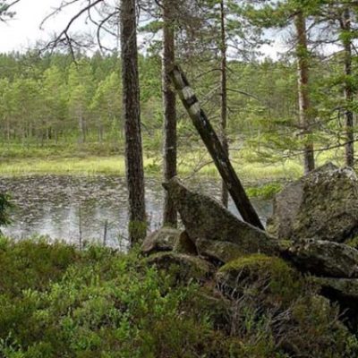 Blecktjärnsskogen