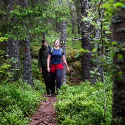 Gammelskogsleden